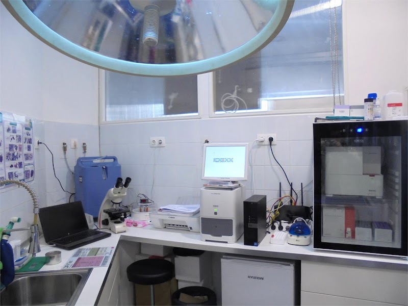 22 Clínica Veterinaria photo 4