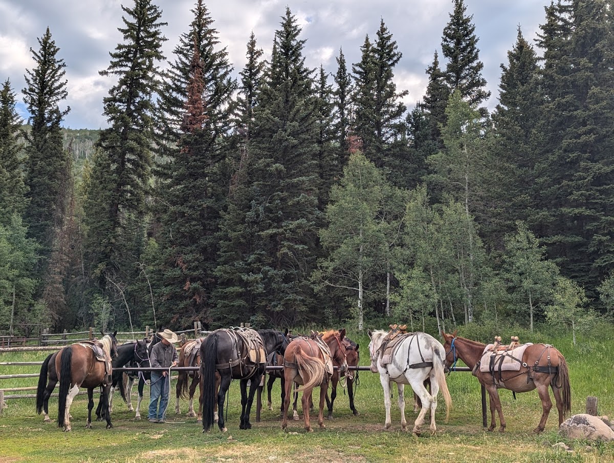 Adams Lodge Outfitters
