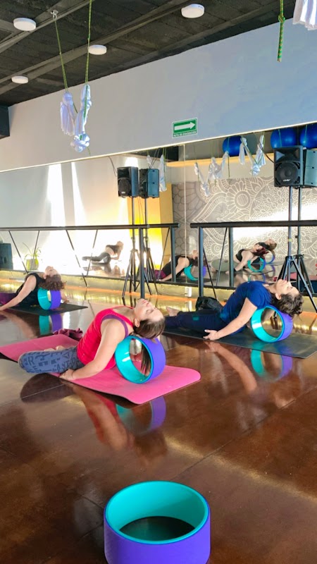 Raga Yoga & Wellness