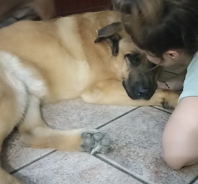 Centro Veterinario Alcalá Norte