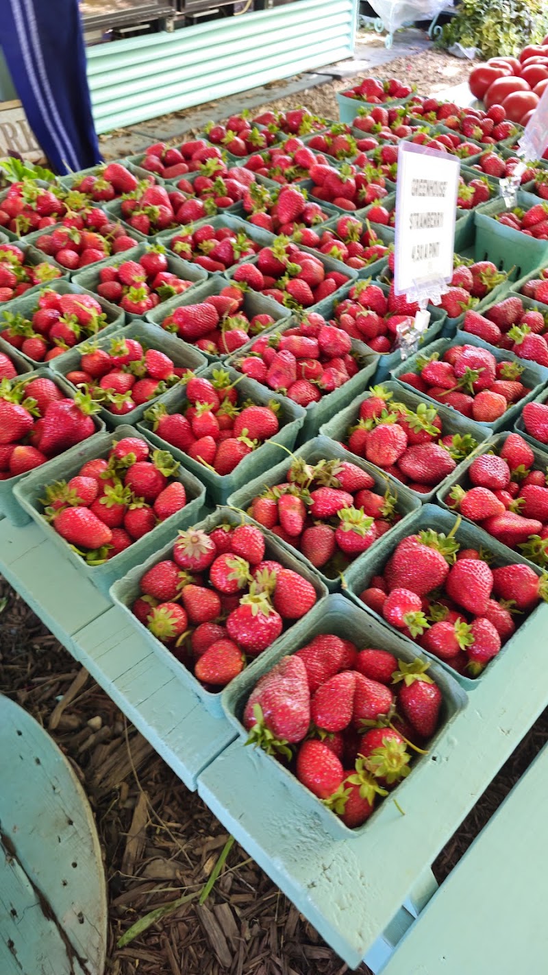 Terripin Farm Stand photo 3