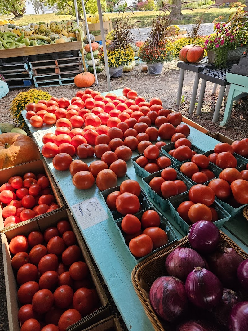 Terripin Farm Stand photo 1