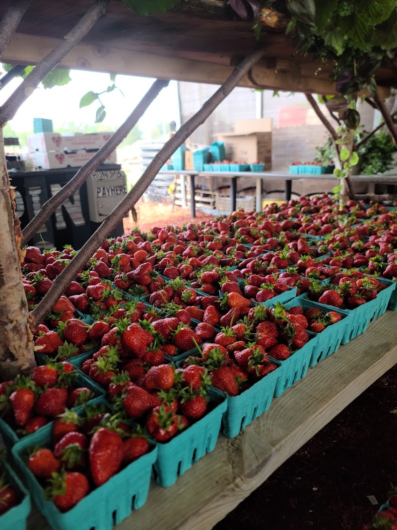 Terripin Farm Stand photo 4