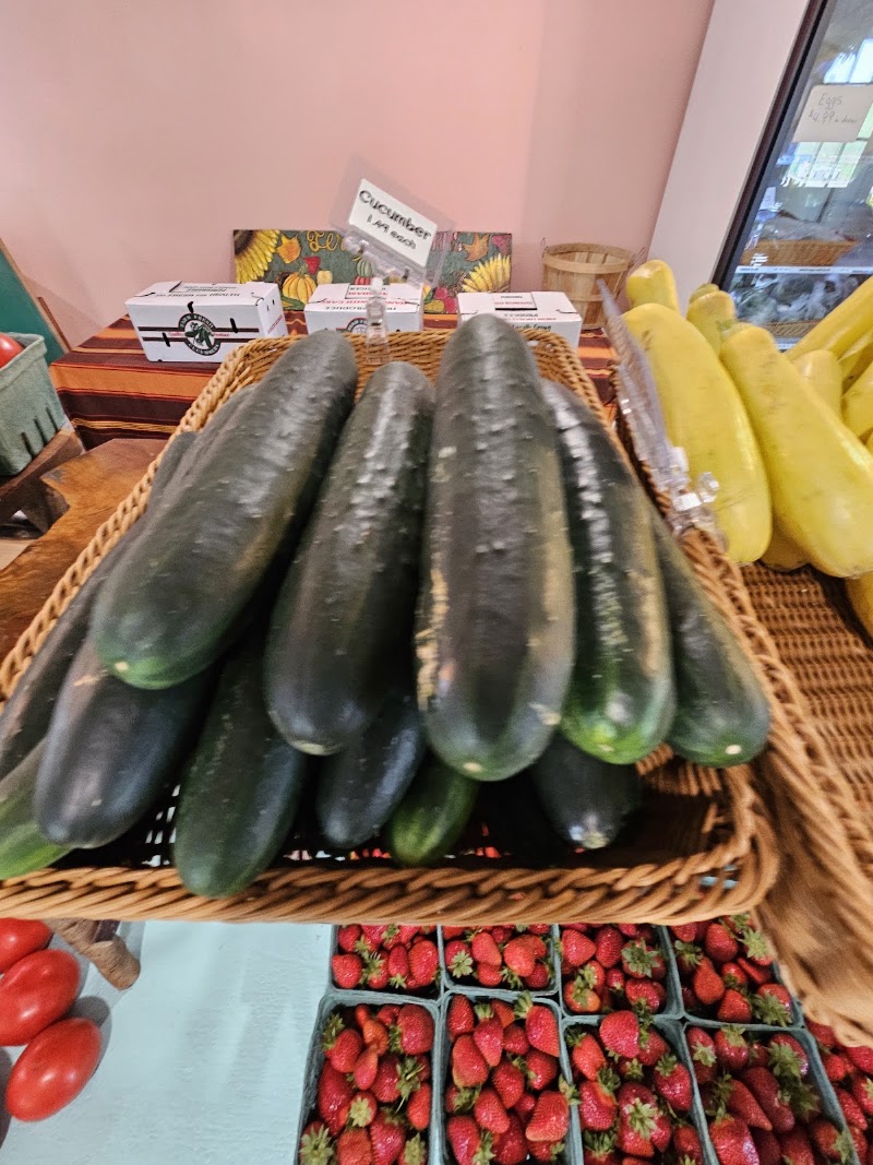 Terripin Farm Stand photo 3