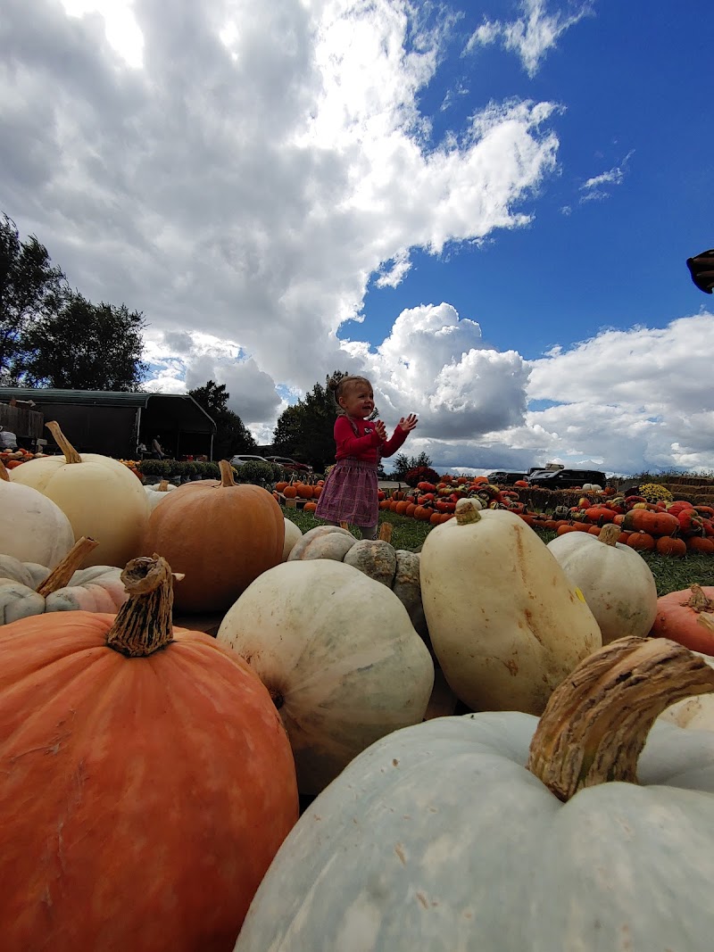 Terripin Farm Stand photo 4