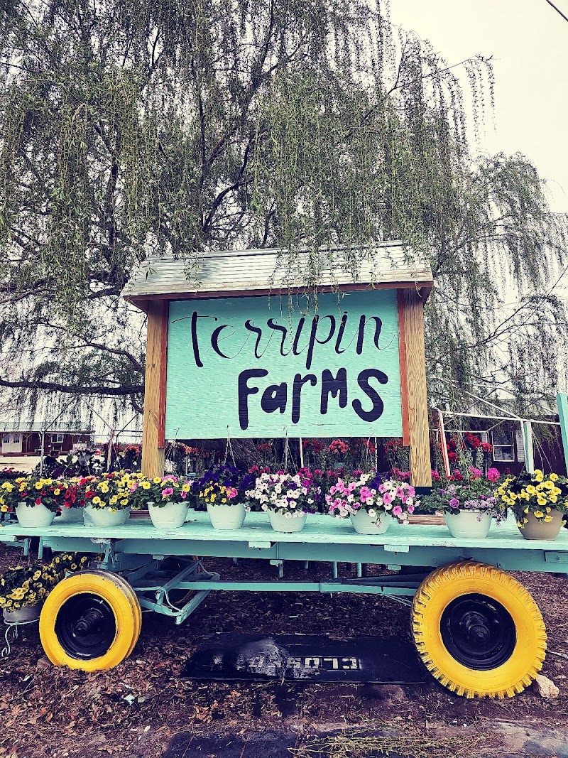Terripin Farm Stand photo 1