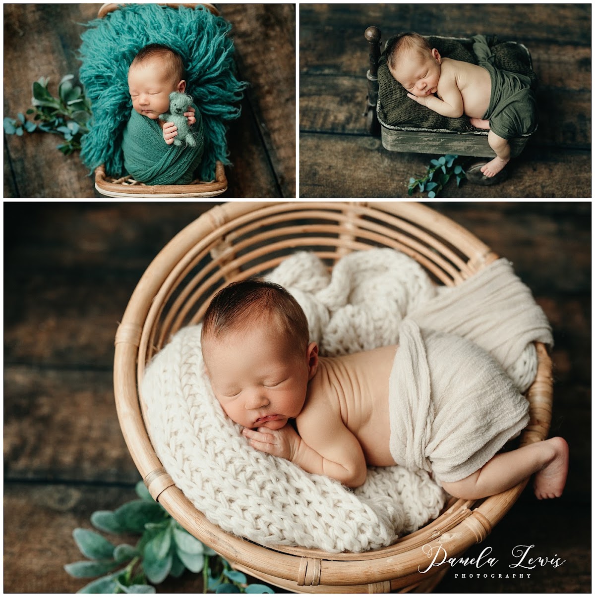 Pamela Lewis Photography: Google Places image 3
