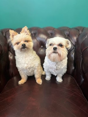 Lost n Found Barbers photo 3