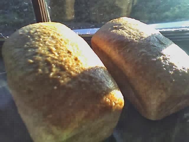 One Street Down Cafe photo 2