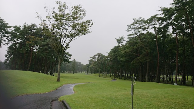 Izumi Park Town Golf Club - Photo 10