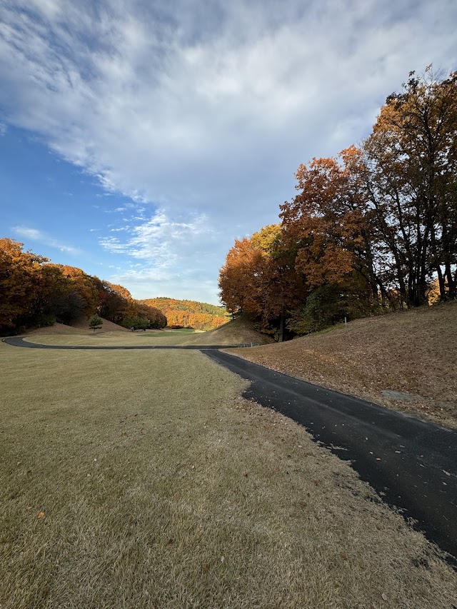Izumi Park Town Golf Club - Photo 4