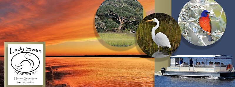 Lady Swan Boat Tours