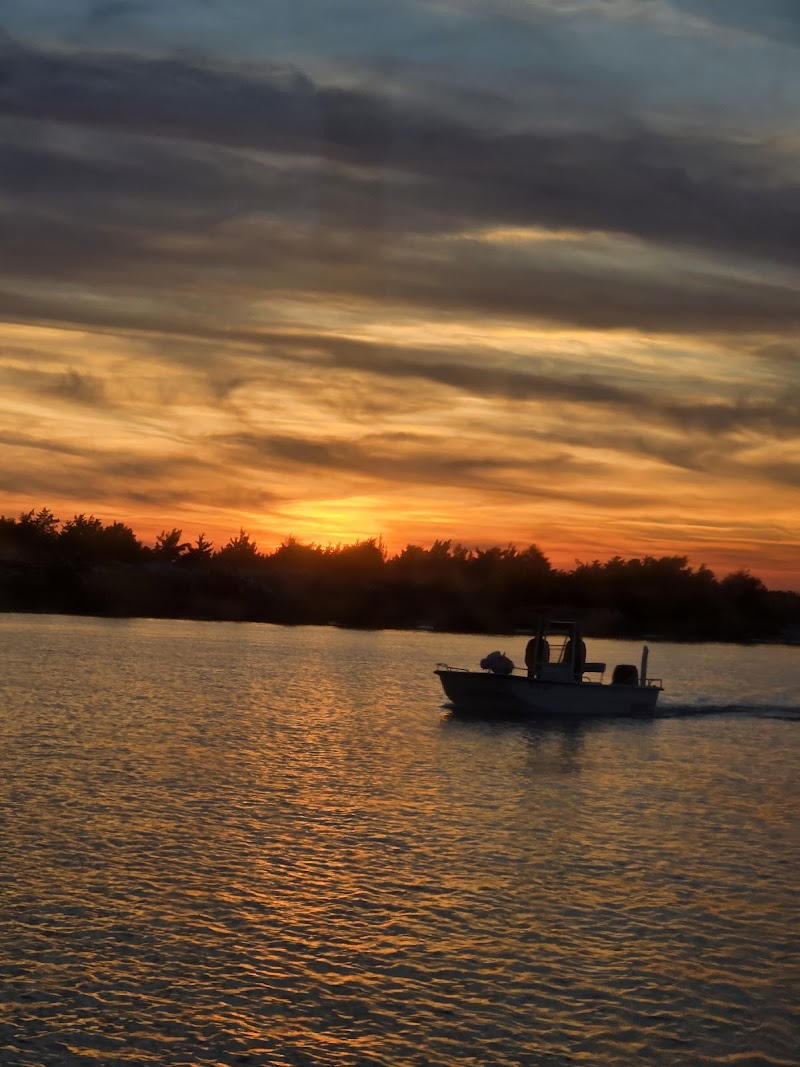 Lady Swan Boat Tours