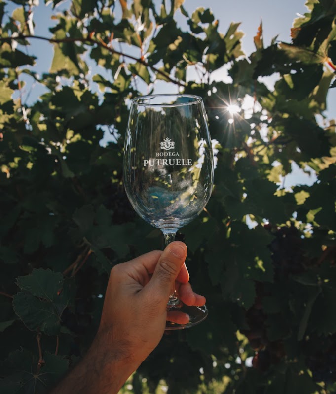 Bodega Putruele | Vinos de San Juan