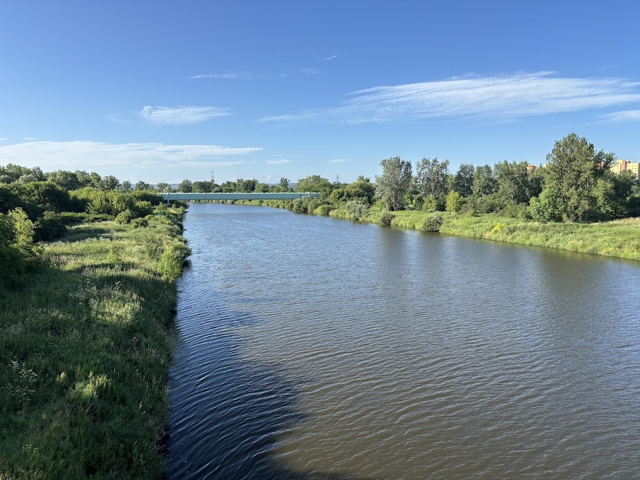 Dąbie Park fotoğraf 1