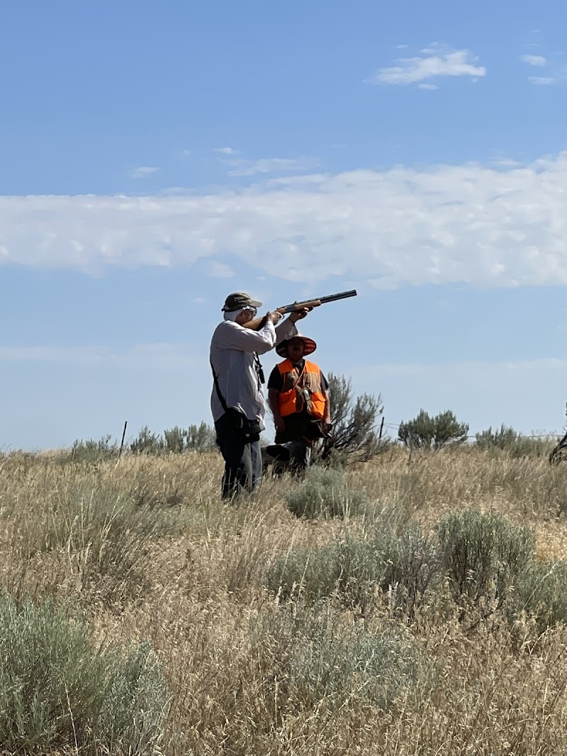 Olex Preserve - Photo 3