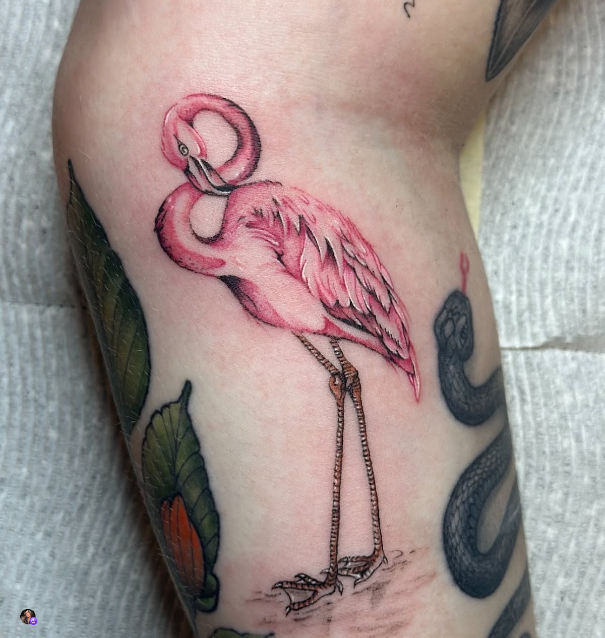 Ink Dealers Tattoo Company tattoo parlor in Orange Park, FL