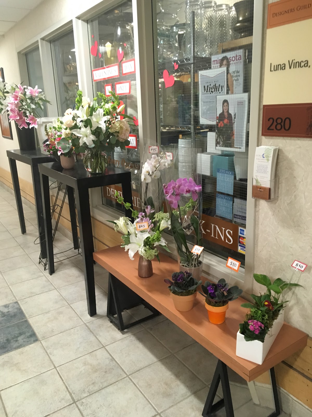 Luna Vinca: Google Places image 3