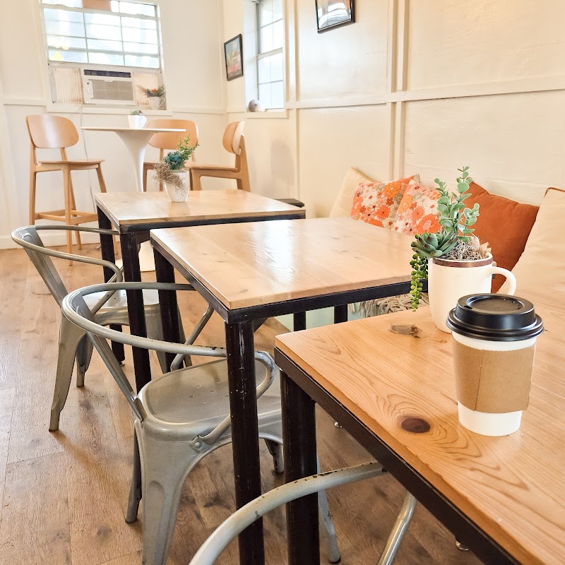 Caliche Coffee & Roasters photo 2