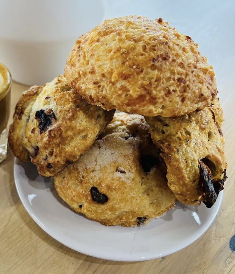 One Line Coffee-Franklinton photo 2