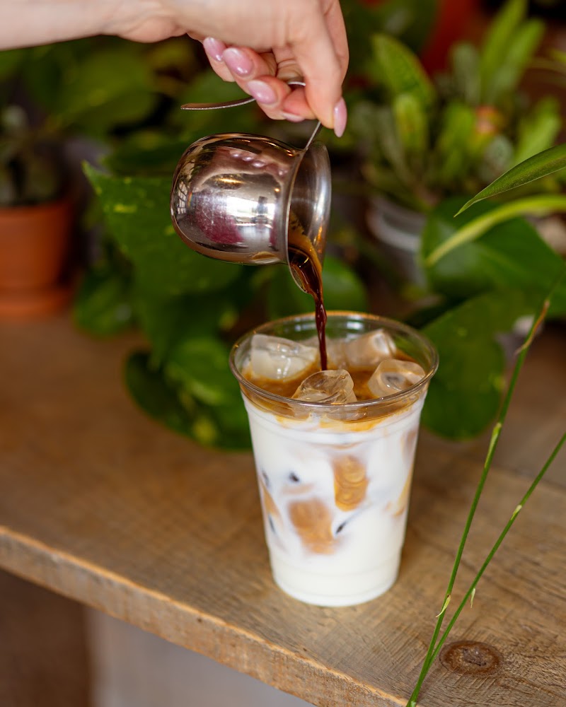 Happy Goat Coffee Co. (Sandy Hill) photo 3