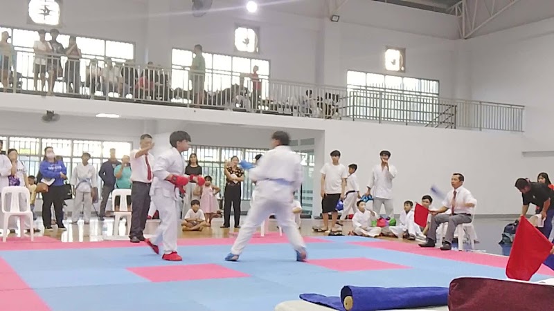 MST Karate (Dentou Karate)