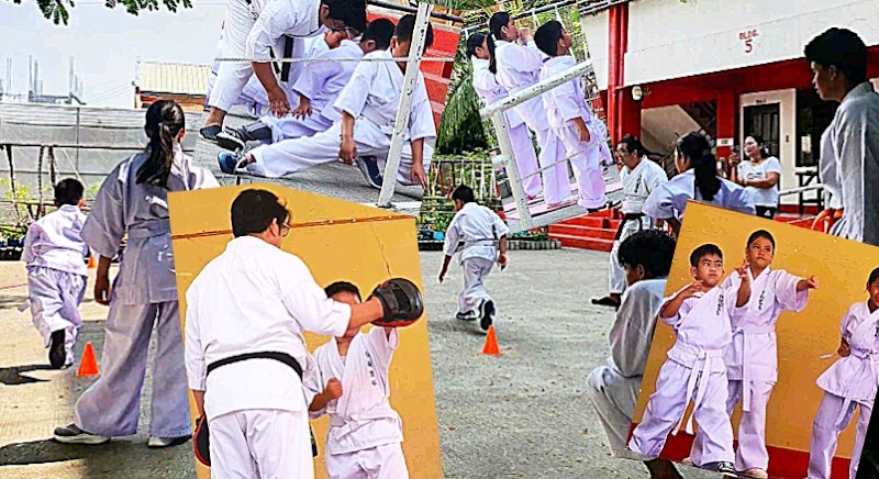 MST Karate (Dentou Karate)
