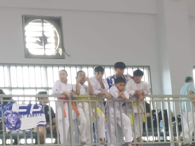 MST Karate (Dentou Karate)
