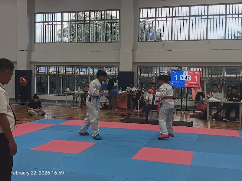 MST Karate (Dentou Karate)