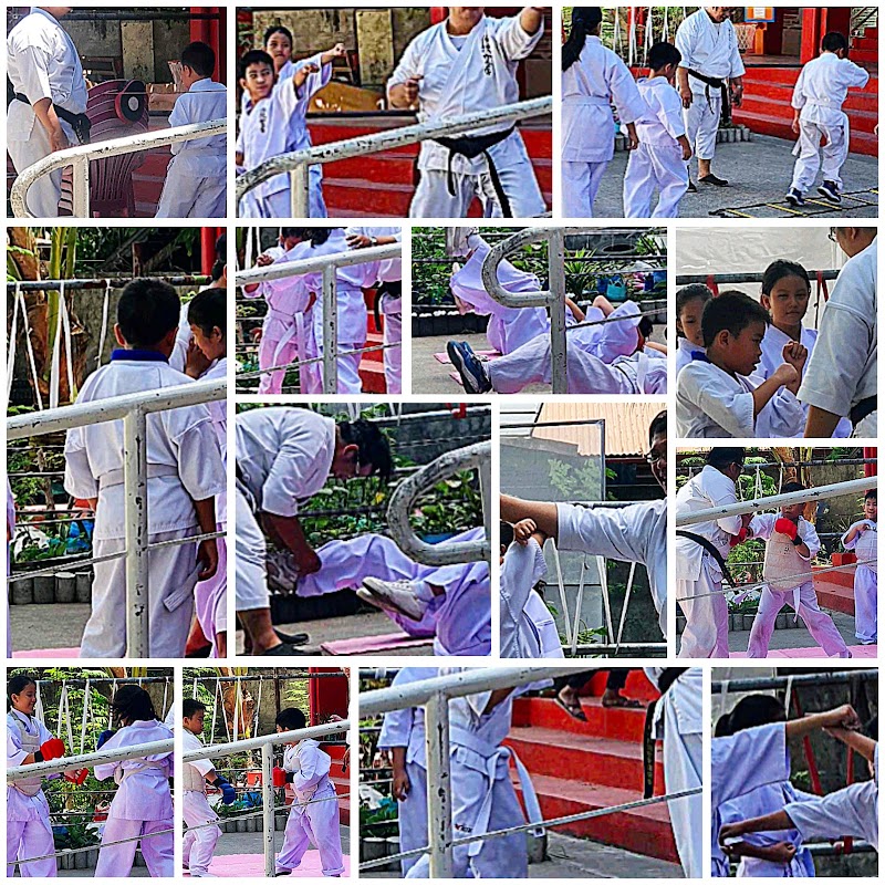 MST Karate (Dentou Karate)