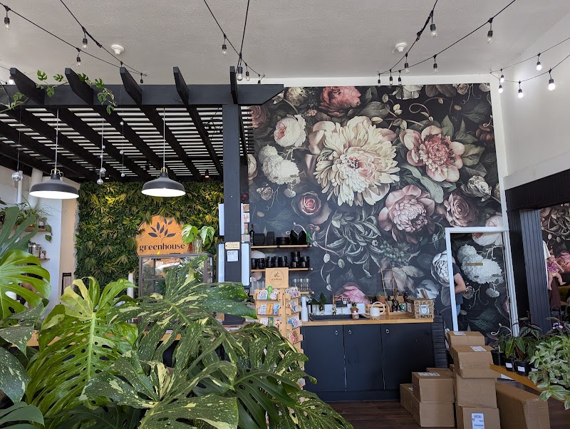 Greenhouse Coffee + Plants photo 4