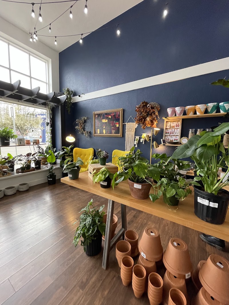 Greenhouse Coffee + Plants photo 1