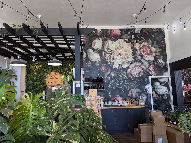 Greenhouse Coffee + Plants photo 4