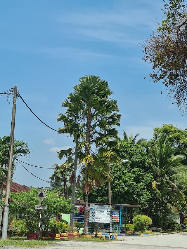 SJK(T) Tun Sambanthan