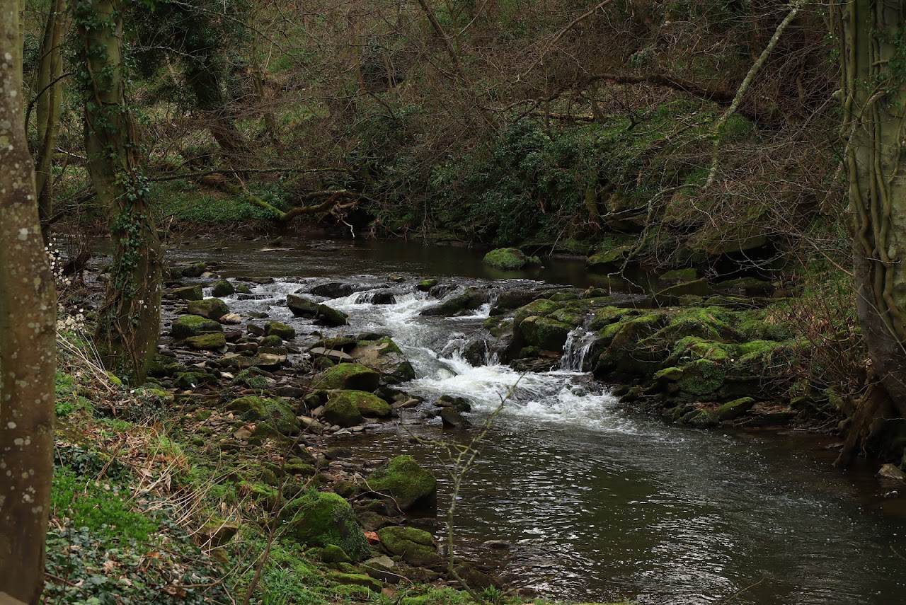 The St Andrews Treasure Trail