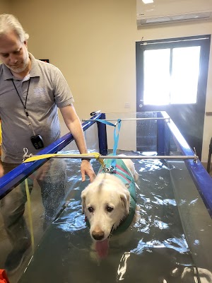 V.I.Pet המרכז הוטרינרי לשיקום פיזי