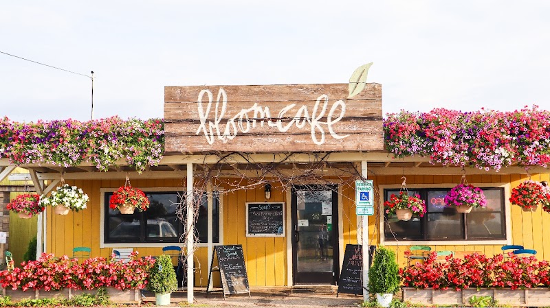 The Bloom Cafe at Quality Gardens, LLC photo 1