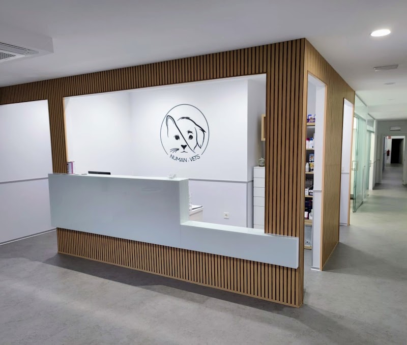 Clínica veterinaria NUMAN.VETS