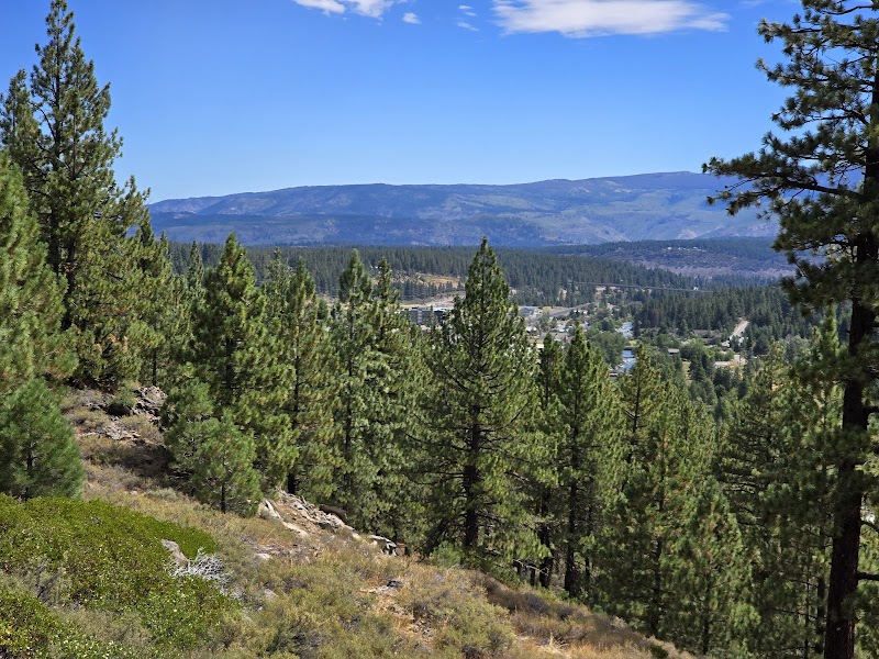 Sierra College Disc Golf Course photo 1
