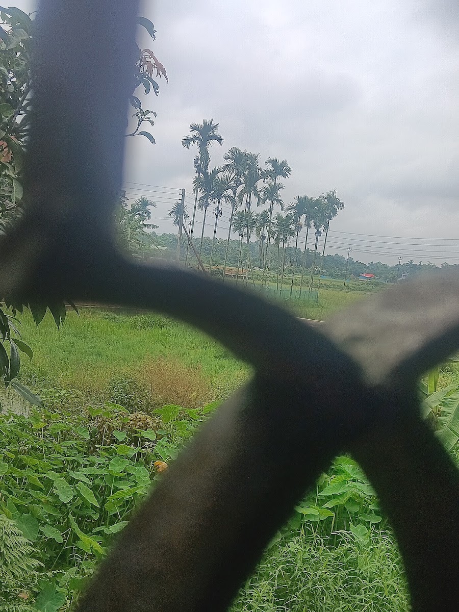 MADHAB DHAR HOME photo 1