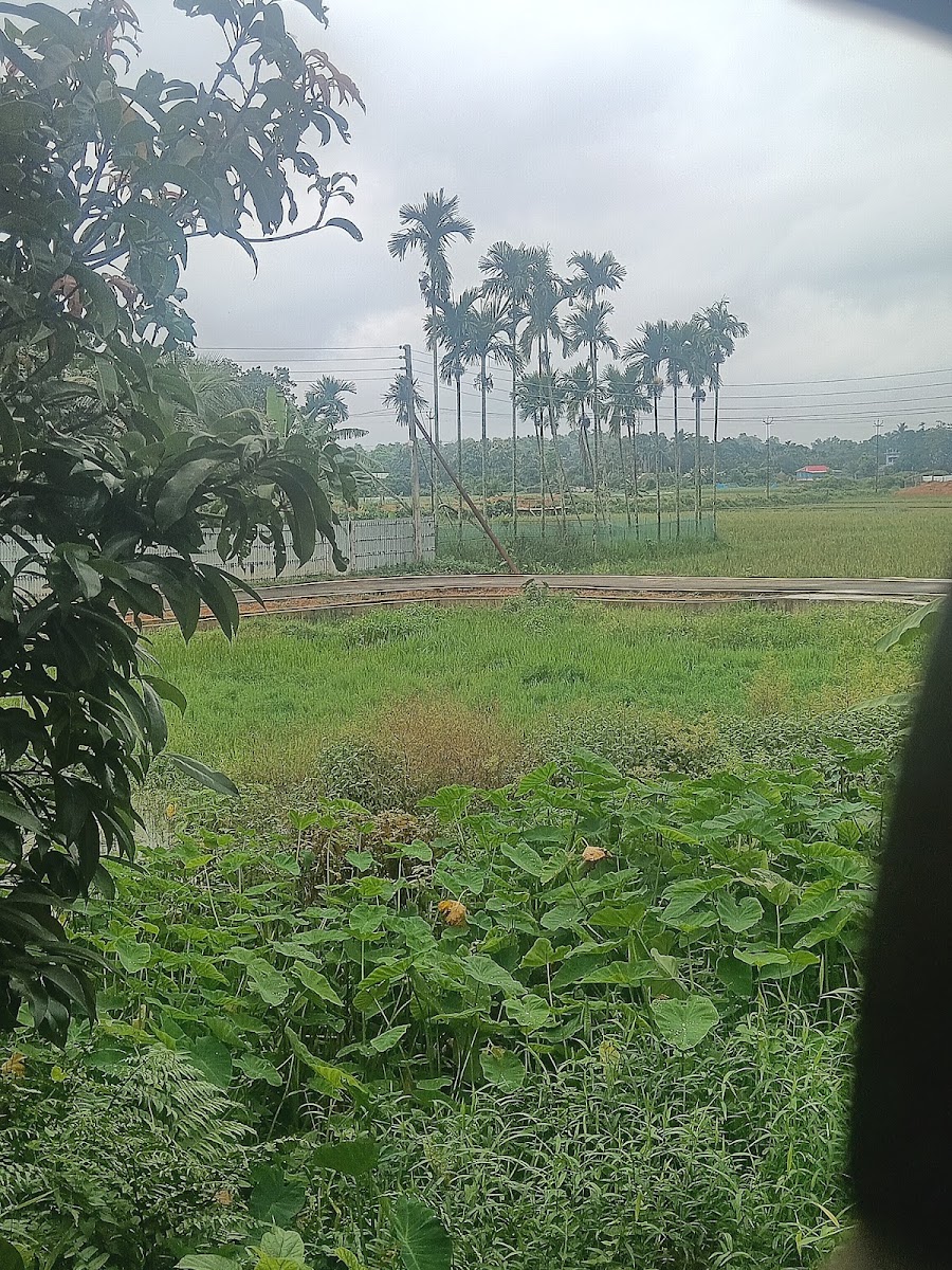 MADHAB DHAR HOME photo 2