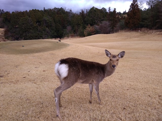 Futasuzu Golf Club Tsuchiyama Course - Photo 8