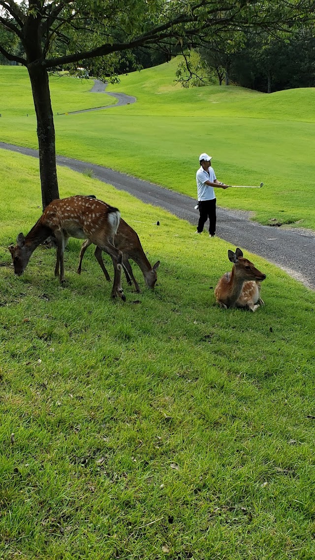 Futasuzu Golf Club Tsuchiyama Course - Photo 7