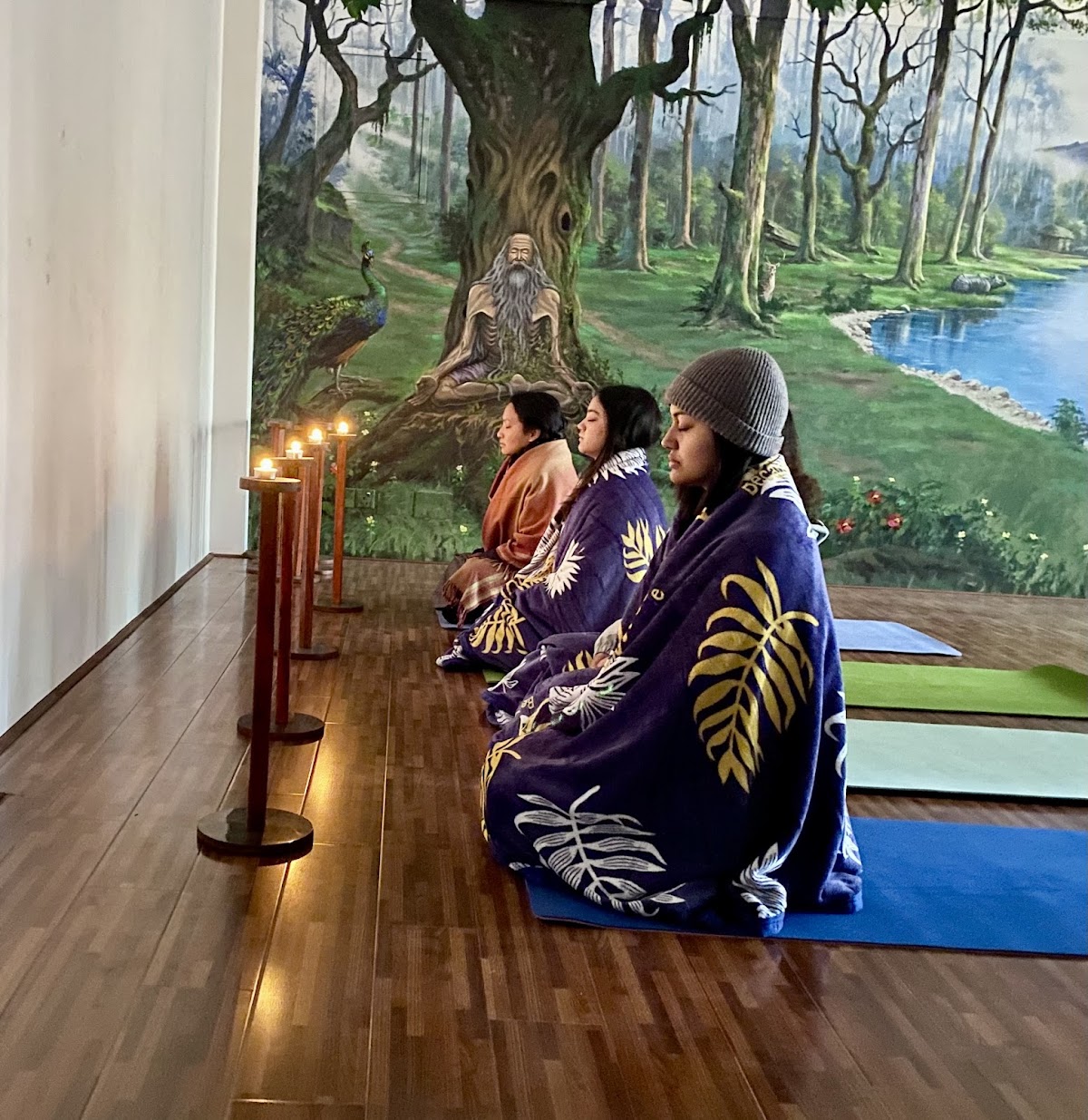 Mokshya Yoga Adventure — 4