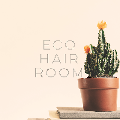 Eco Hair Room photo 2