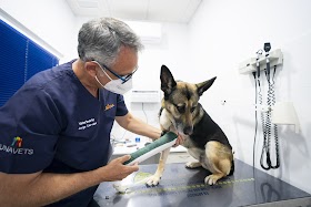 Hospital Veterinario Nueva Andalucía