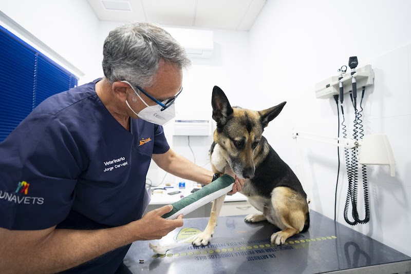 Hospital Veterinario Nueva Andalucía
