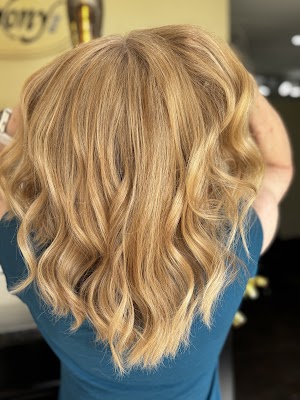 Saxony Blue Hair Design photo 2