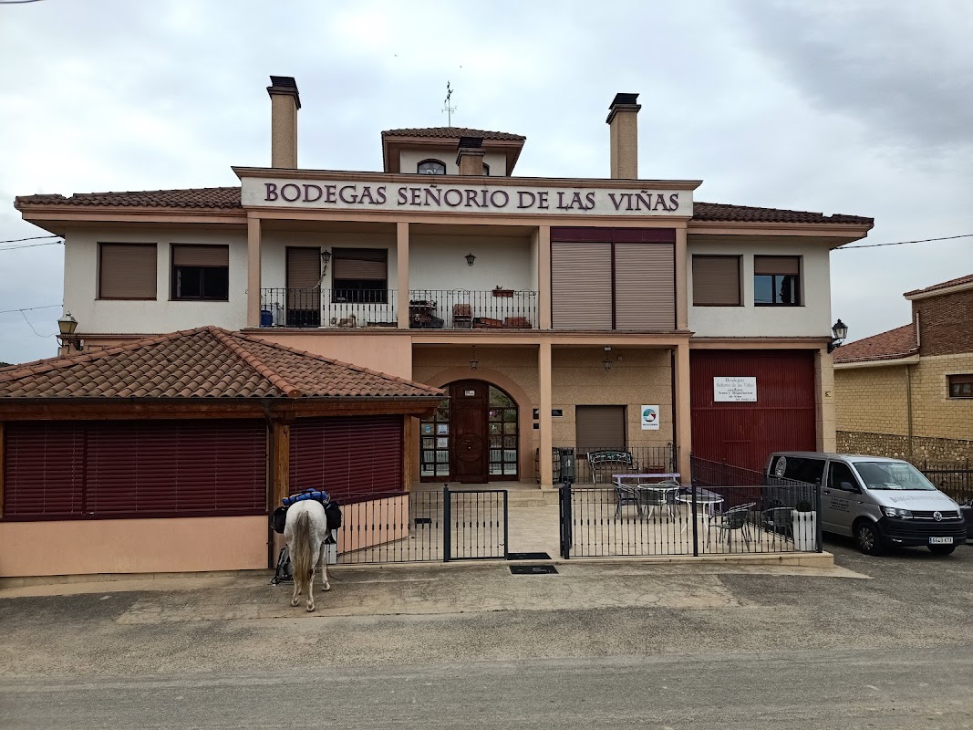 Bodega Señorío de las Viñas