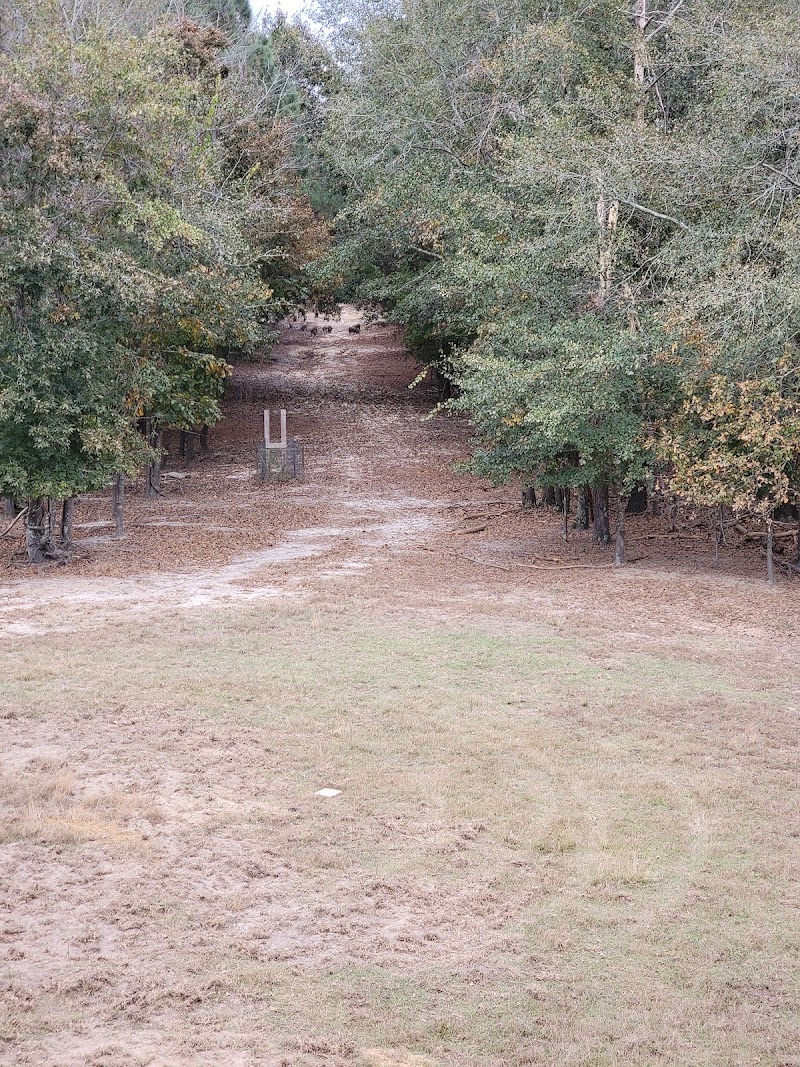 Buck and Boar Lodge of SC - Photo 2